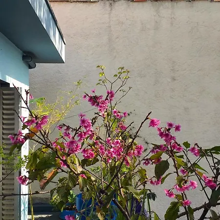 Micasa Hostel - Congonhas-2